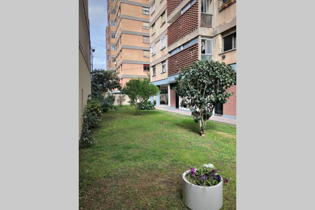 圣萨尔瓦多德朱Departamento Centrico A Metros De Plaza Belgrano公寓 外观 照片