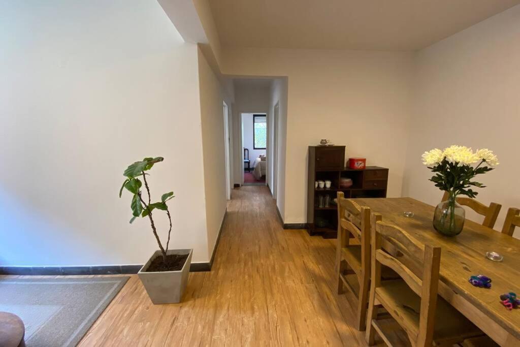 圣萨尔瓦多德朱Departamento Centrico A Metros De Plaza Belgrano公寓 外观 照片